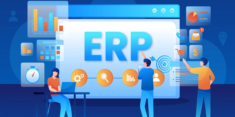 erp development